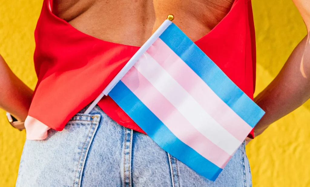 trans flag